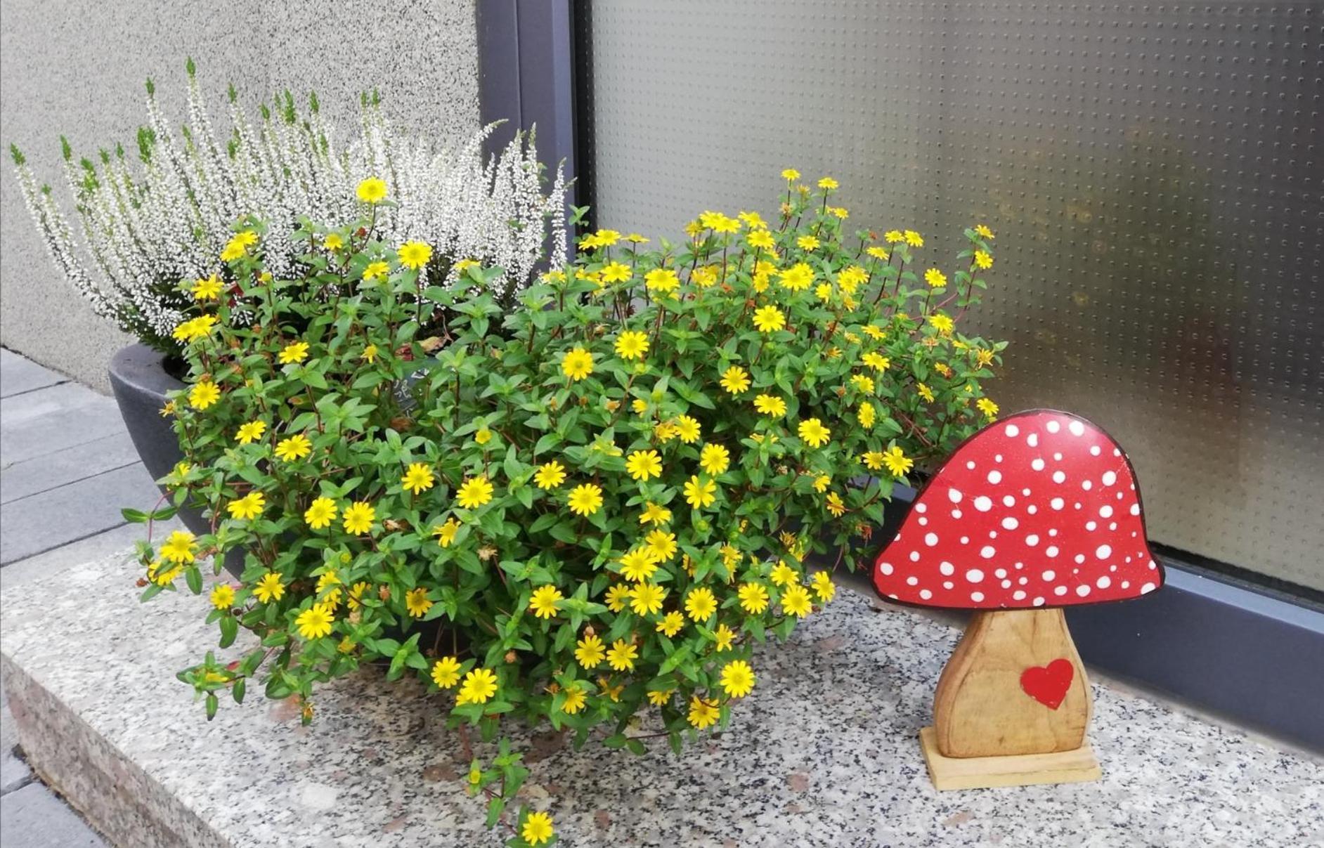 Ferienhaus Rauwolf Mit 2 Ferienwohnungen Roschbach 外观 照片