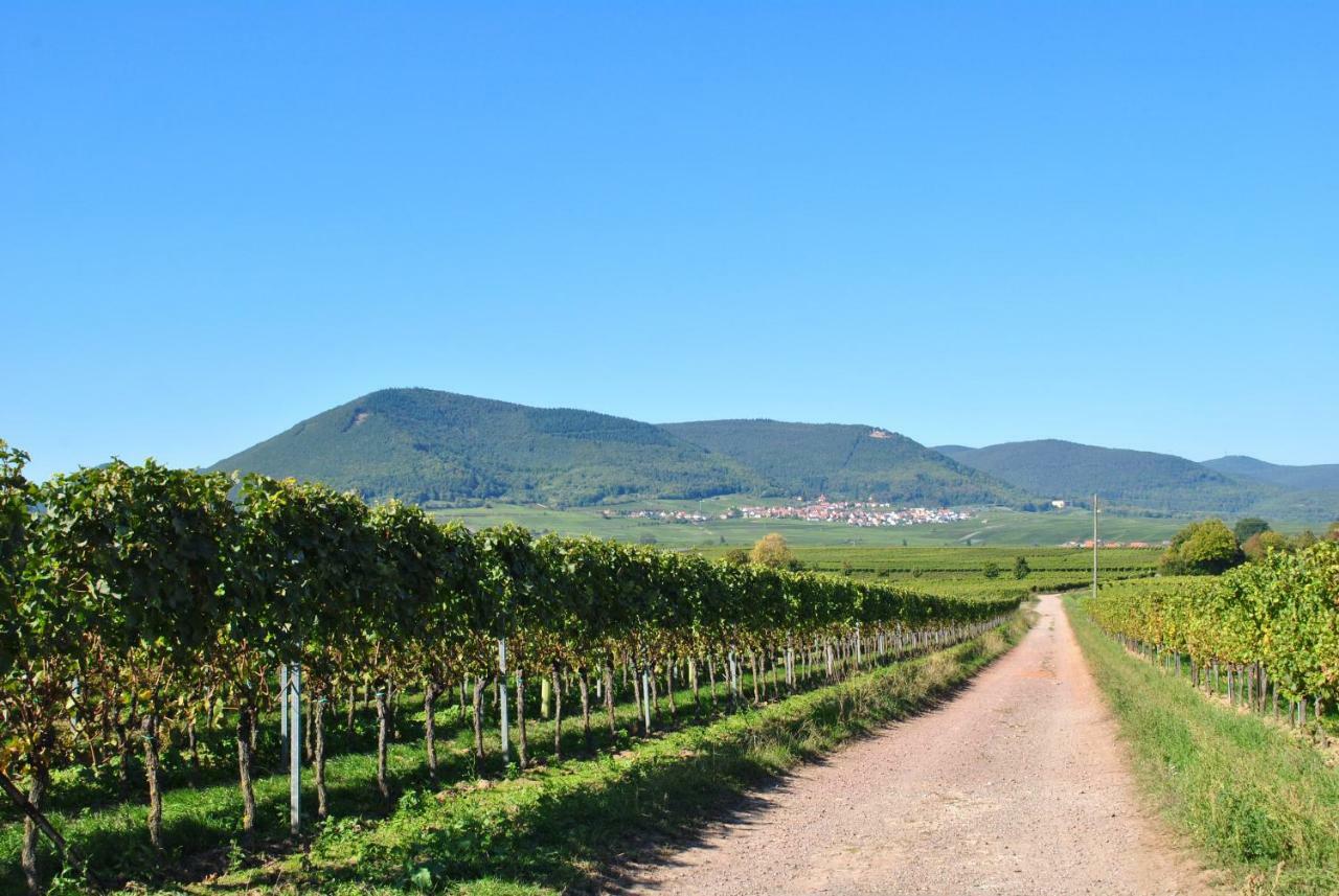 Ferienhaus Rauwolf Mit 2 Ferienwohnungen Roschbach 外观 照片